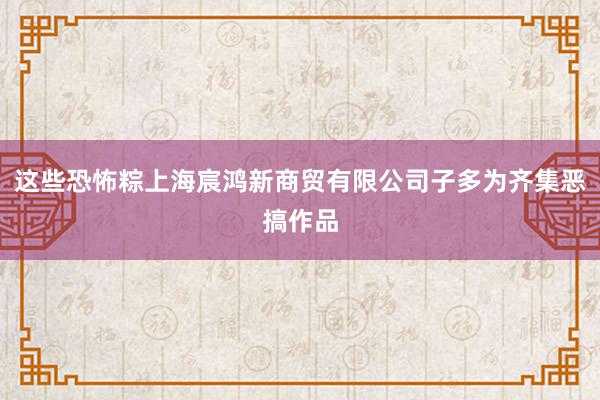 这些恐怖粽上海宸鸿新商贸有限公司子多为齐集恶搞作品